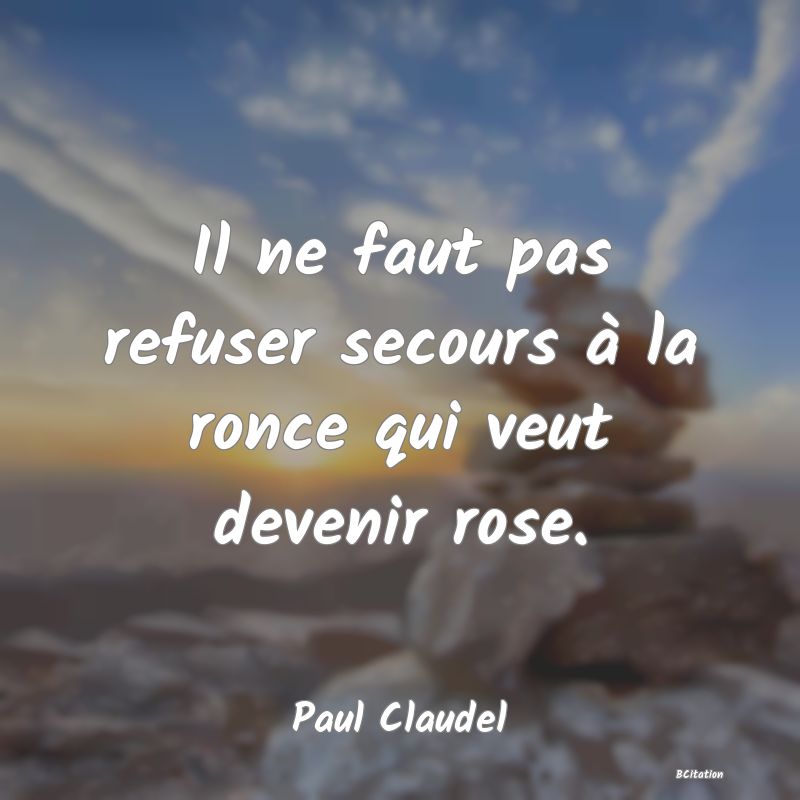 image de citation: Il ne faut pas refuser secours à la ronce qui veut devenir rose.