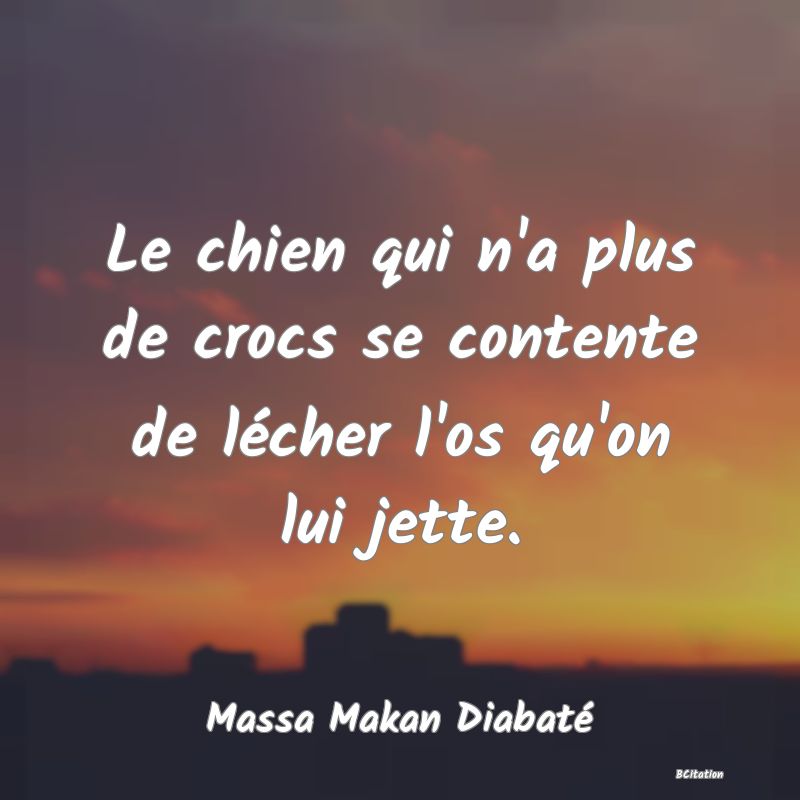 image de citation: Le chien qui n'a plus de crocs se contente de lécher l'os qu'on lui jette.