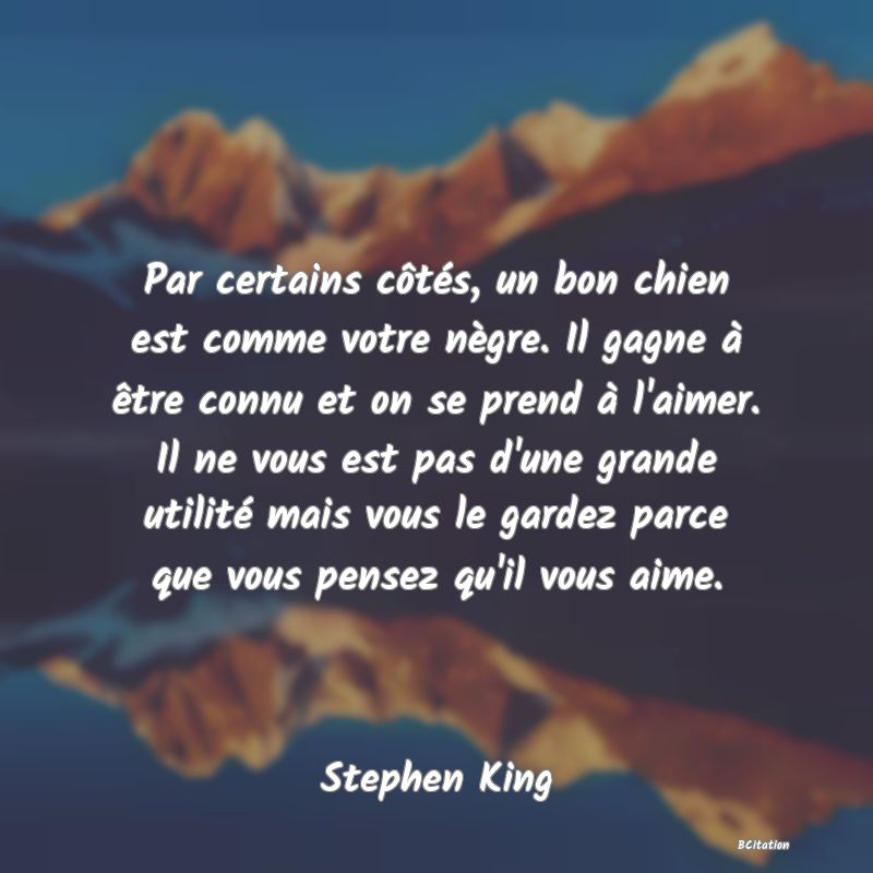 image de citation: Par certains côtés, un bon chien est comme votre nègre. Il gagne à être connu et on se prend à l'aimer. Il ne vous est pas d'une grande utilité mais vous le gardez parce que vous pensez qu'il vous aime.