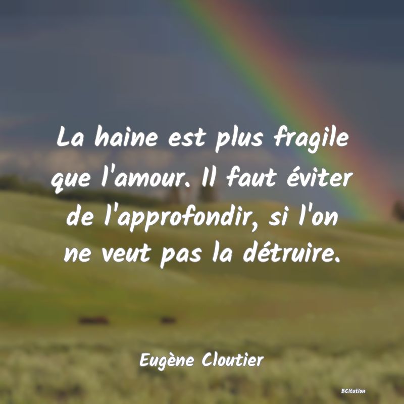 image de citation: La haine est plus fragile que l'amour. Il faut éviter de l'approfondir, si l'on ne veut pas la détruire.