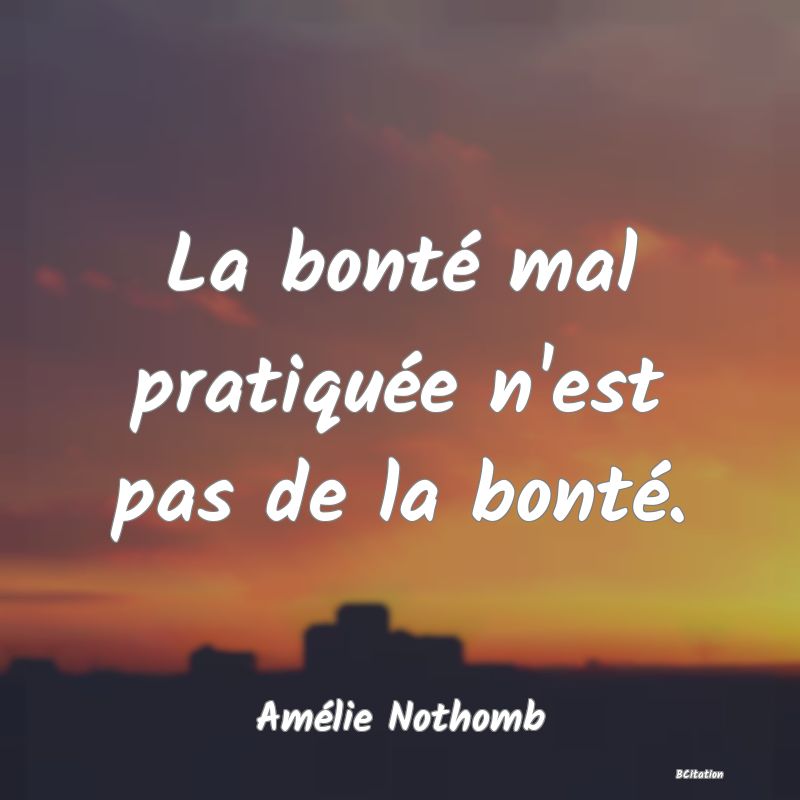 Belle Citation - La bonté mal pratiquée n'est pas de la bonté. - Amélie Nothomb