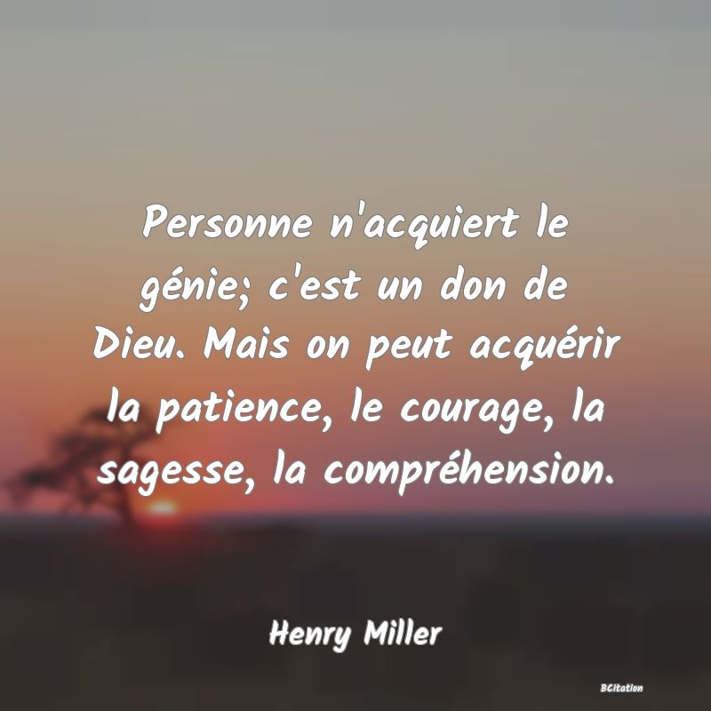 Belle Citation - Personne n'acquiert le génie; c'est un don de Dieu. Mais on peut acquérir la patience, le courage, la sagesse, la compréhension. - Henry Miller