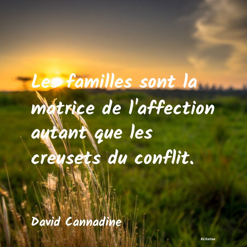 image de citation: Les familles sont la matrice de l'affection autant que les creusets du conflit.