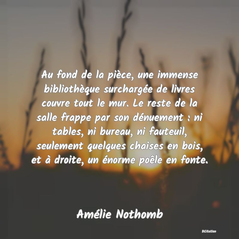 Belle Citation - Au fond de la pièce, une immense bibliothèque surchargée de livres couvre tout le mur. Le reste de la salle frappe par son dénuement : ni tables, ni bureau, ni fauteuil, seulement quelques chaises en bois, et à droite, un énorme poêle en fonte. - Amélie Nothomb