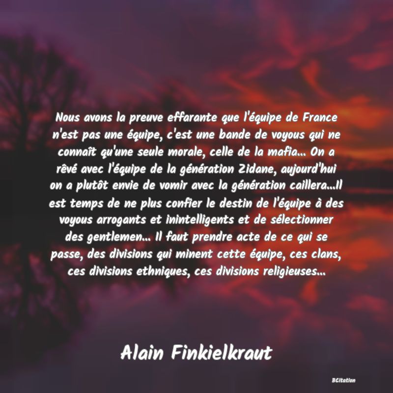 image de citation: Nous avons la preuve effarante que l'équipe de France n'est pas une équipe, c'est une bande de voyous qui ne connaît qu'une seule morale, celle de la mafia... On a rêvé avec l'équipe de la génération Zidane, aujourd'hui on a plutôt envie de vomir avec la génération caillera...Il est temps de ne plus confier le destin de l'équipe à des voyous arrogants et inintelligents et de sélectionner des gentlemen... Il faut prendre acte de ce qui se passe, des divisions qui minent cette équipe, ces clans, ces divisions ethniques, ces divisions religieuses...