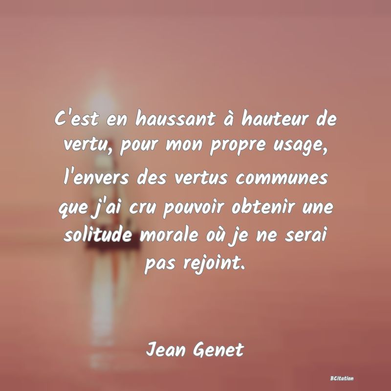 image de citation: C'est en haussant à hauteur de vertu, pour mon propre usage, l'envers des vertus communes que j'ai cru pouvoir obtenir une solitude morale où je ne serai pas rejoint.