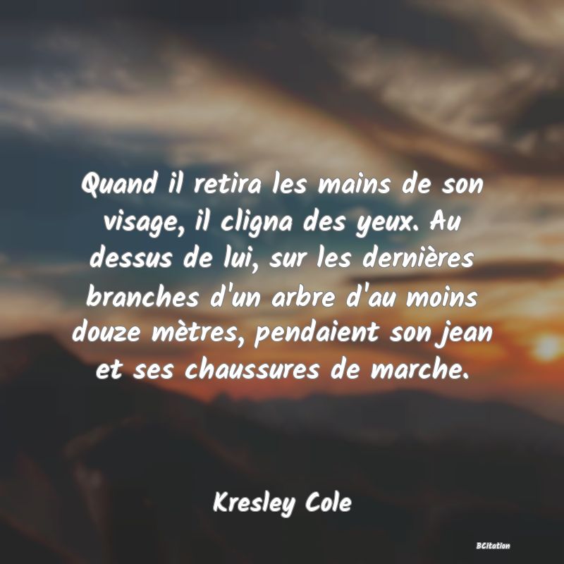 image de citation: Quand il retira les mains de son visage, il cligna des yeux. Au dessus de lui, sur les dernières branches d'un arbre d'au moins douze mètres, pendaient son jean et ses chaussures de marche.