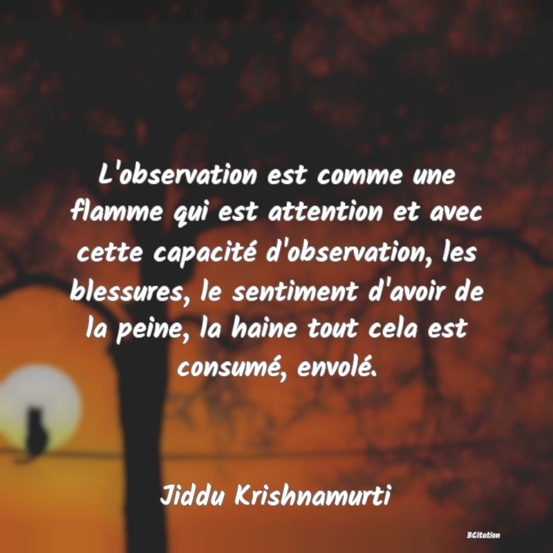 image de citation: L'observation est comme une flamme qui est attention et avec cette capacité d'observation, les blessures, le sentiment d'avoir de la peine, la haine tout cela est consumé, envolé.