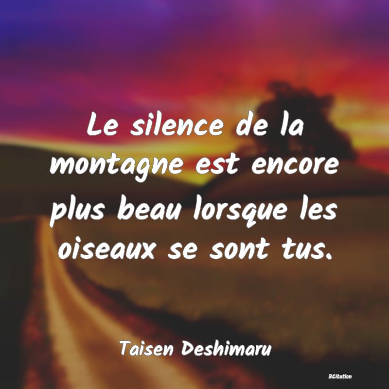 image de citation: Le silence de la montagne est encore plus beau lorsque les oiseaux se sont tus.