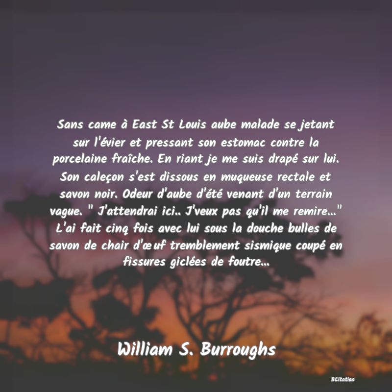 image de citation: Sans came à East St Louis aube malade se jetant sur l'évier et pressant son estomac contre la porcelaine fraîche. En riant je me suis drapé sur lui. Son caleçon s'est dissous en muqueuse rectale et savon noir. Odeur d'aube d'été venant d'un terrain vague.   J'attendrai ici.. J'veux pas qu'il me remire...  L'ai fait cinq fois avec lui sous la douche bulles de savon de chair d'œuf tremblement sismique coupé en fissures giclées de foutre...