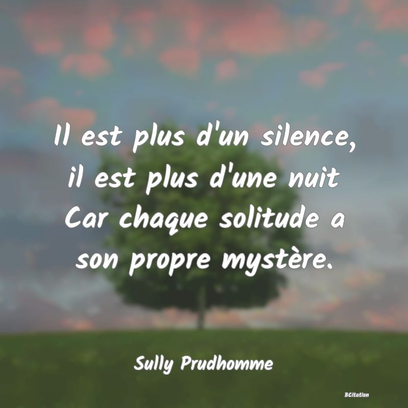 image de citation: Il est plus d'un silence, il est plus d'une nuit Car chaque solitude a son propre mystère.