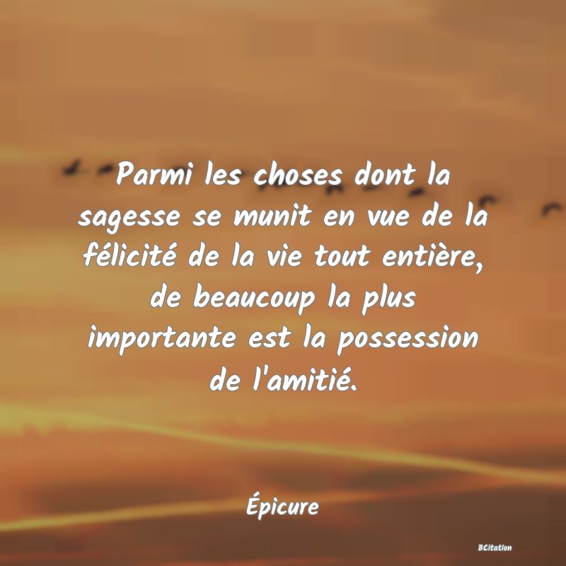 image de citation: Parmi les choses dont la sagesse se munit en vue de la félicité de la vie tout entière, de beaucoup la plus importante est la possession de l'amitié.