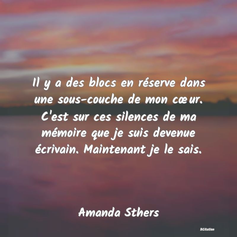 image de citation: Il y a des blocs en réserve dans une sous-couche de mon cœur. C'est sur ces silences de ma mémoire que je suis devenue écrivain. Maintenant je le sais.