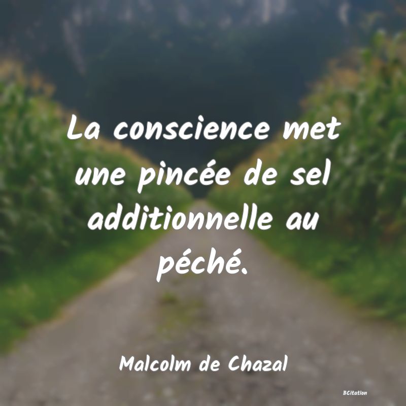 image de citation: La conscience met une pincée de sel additionnelle au péché.