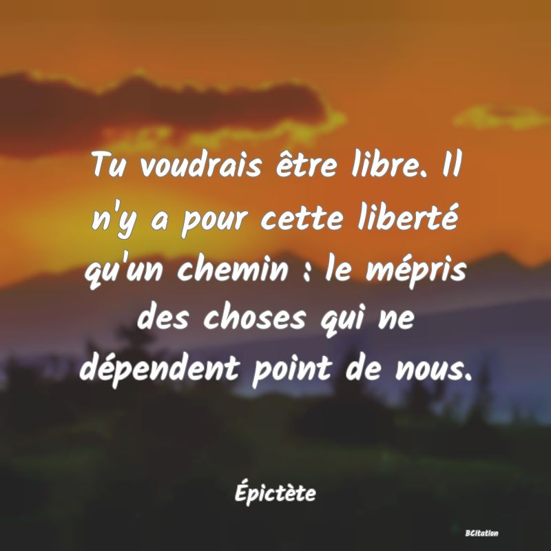 image de citation: Tu voudrais être libre. Il n'y a pour cette liberté qu'un chemin : le mépris des choses qui ne dépendent point de nous.