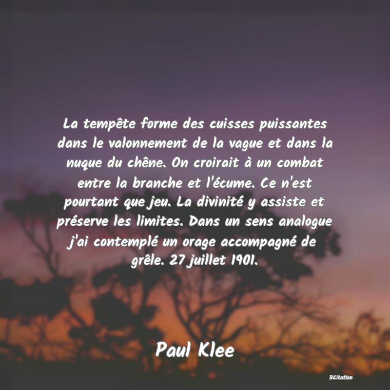 image de citation: La tempête forme des cuisses puissantes dans le valonnement de la vague et dans la nuque du chêne. On croirait à un combat entre la branche et l'écume. Ce n'est pourtant que jeu. La divinité y assiste et préserve les limites. Dans un sens analogue j'ai contemplé un orage accompagné de grêle. 27 juillet 1901.