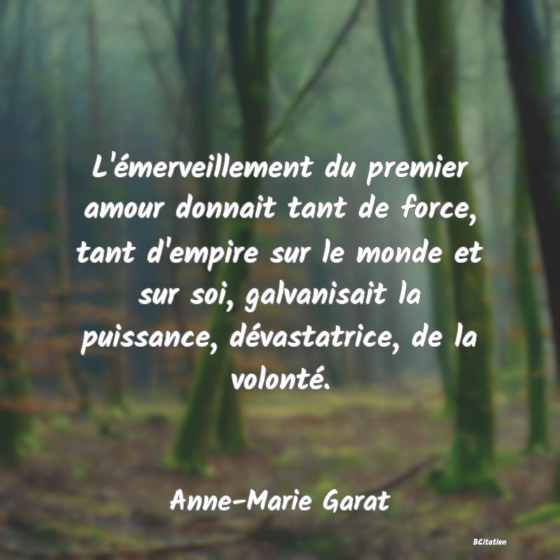 image de citation: L'émerveillement du premier amour donnait tant de force, tant d'empire sur le monde et sur soi, galvanisait la puissance, dévastatrice, de la volonté.