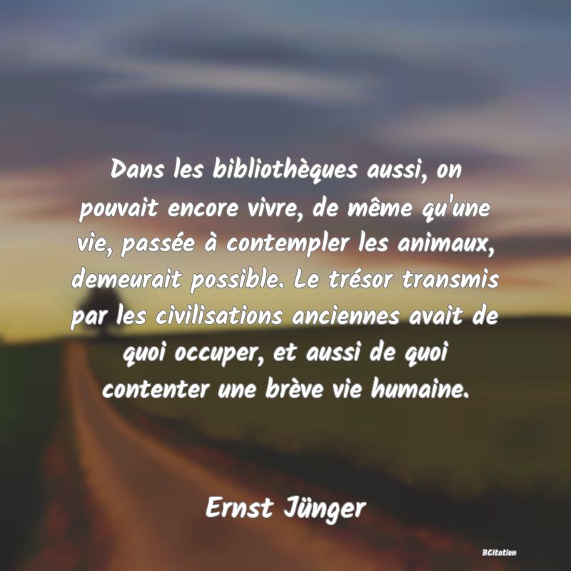 image de citation: Dans les bibliothèques aussi, on pouvait encore vivre, de même qu'une vie, passée à contempler les animaux, demeurait possible. Le trésor transmis par les civilisations anciennes avait de quoi occuper, et aussi de quoi contenter une brève vie humaine.