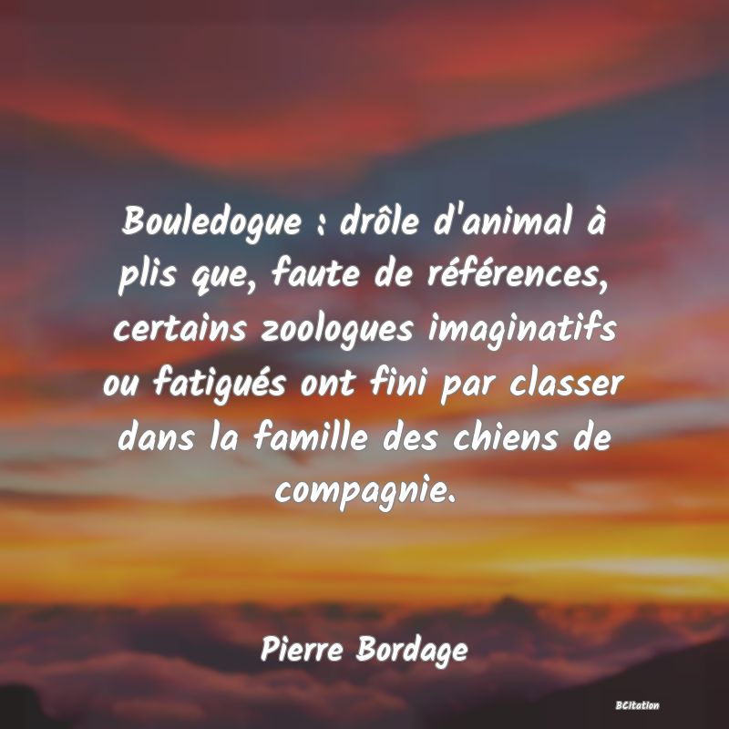 image de citation: Bouledogue : drôle d'animal à plis que, faute de références, certains zoologues imaginatifs ou fatigués ont fini par classer dans la famille des chiens de compagnie.