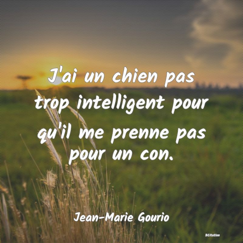 Belle Citation - J'ai un chien pas trop intelligent pour qu'il me prenne pas pour un con. - Jean-Marie Gourio