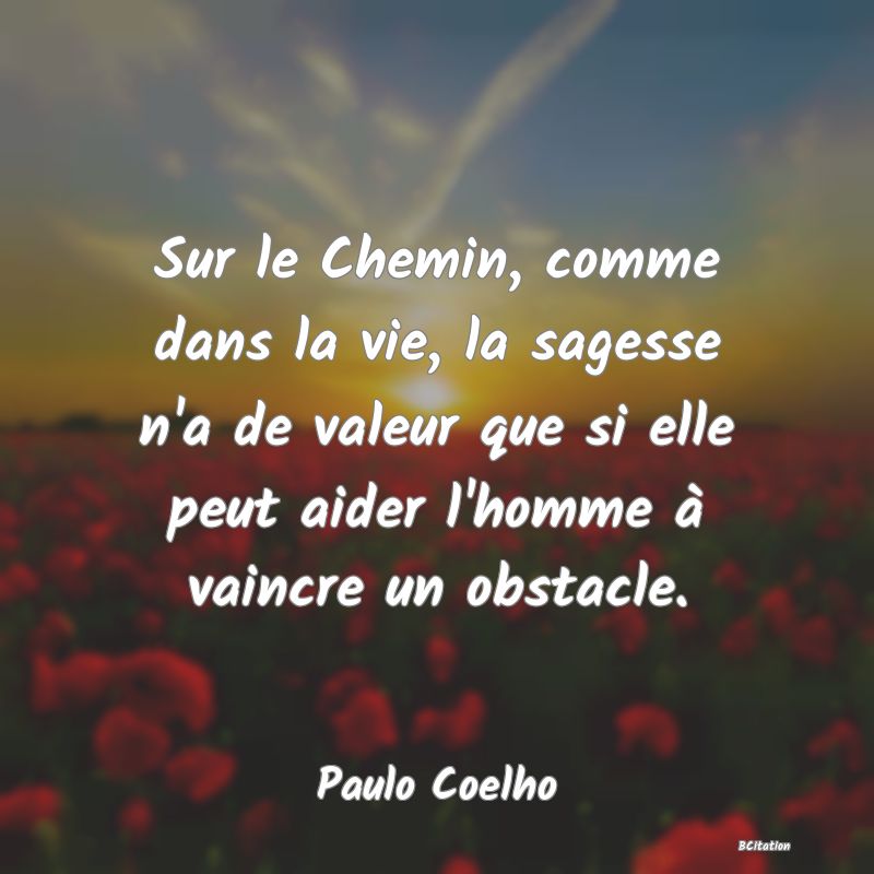 image de citation: Sur le Chemin, comme dans la vie, la sagesse n'a de valeur que si elle peut aider l'homme à vaincre un obstacle.