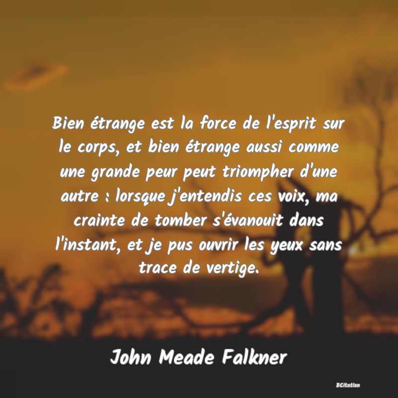 image de citation: Bien étrange est la force de l'esprit sur le corps, et bien étrange aussi comme une grande peur peut triompher d'une autre : lorsque j'entendis ces voix, ma crainte de tomber s'évanouit dans l'instant, et je pus ouvrir les yeux sans trace de vertige.