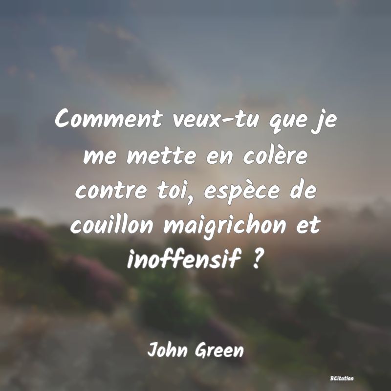 image de citation: Comment veux-tu que je me mette en colère contre toi, espèce de couillon maigrichon et inoffensif ?