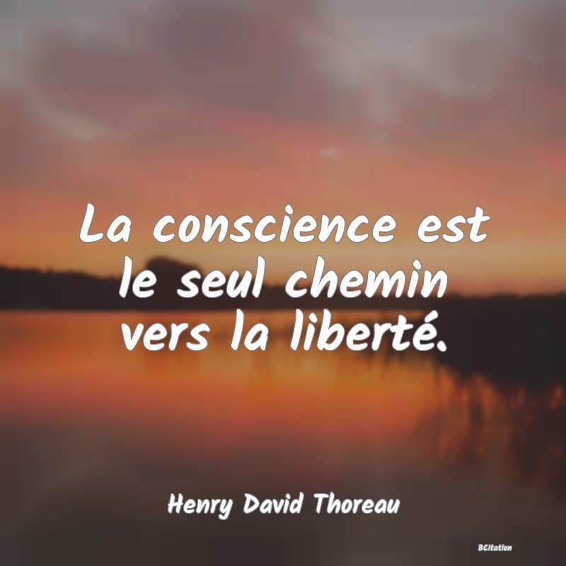 image de citation: La conscience est le seul chemin vers la liberté.