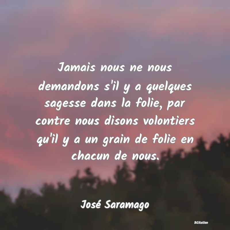 image de citation: Jamais nous ne nous demandons s'il y a quelques sagesse dans la folie, par contre nous disons volontiers qu'il y a un grain de folie en chacun de nous.