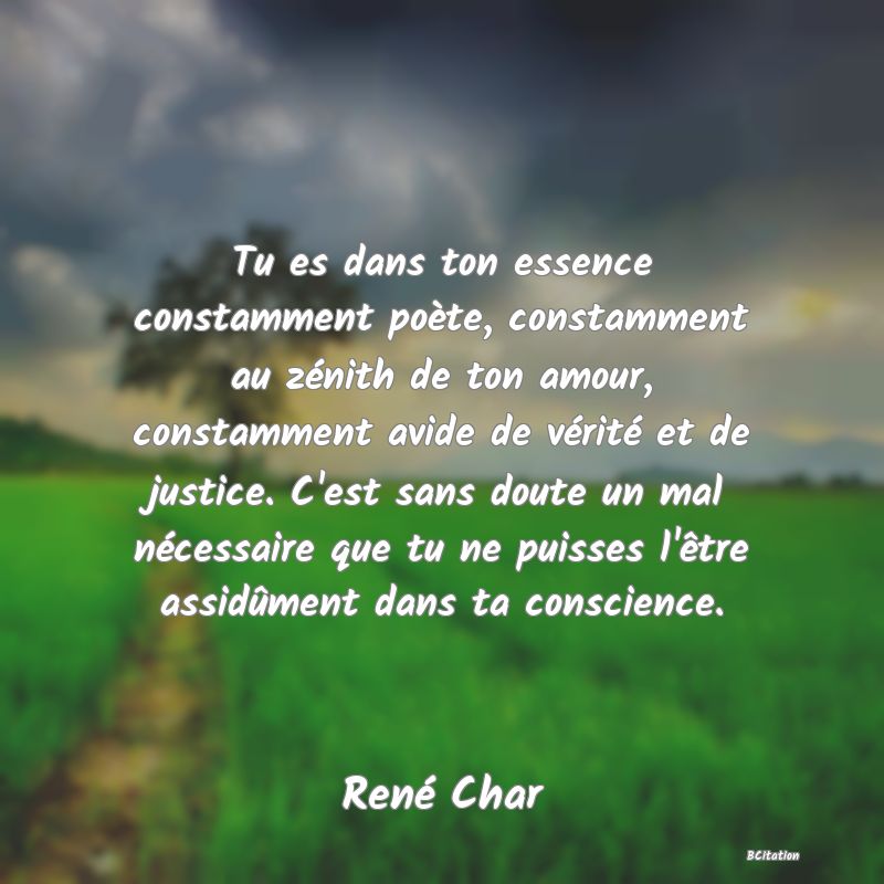 Belle Citation - Tu es dans ton essence constamment poète, constamment au zénith de ton amour, constamment avide de vérité et de justice. C'est sans doute un mal nécessaire que tu ne puisses l'être assidûment dans ta conscience. - René Char