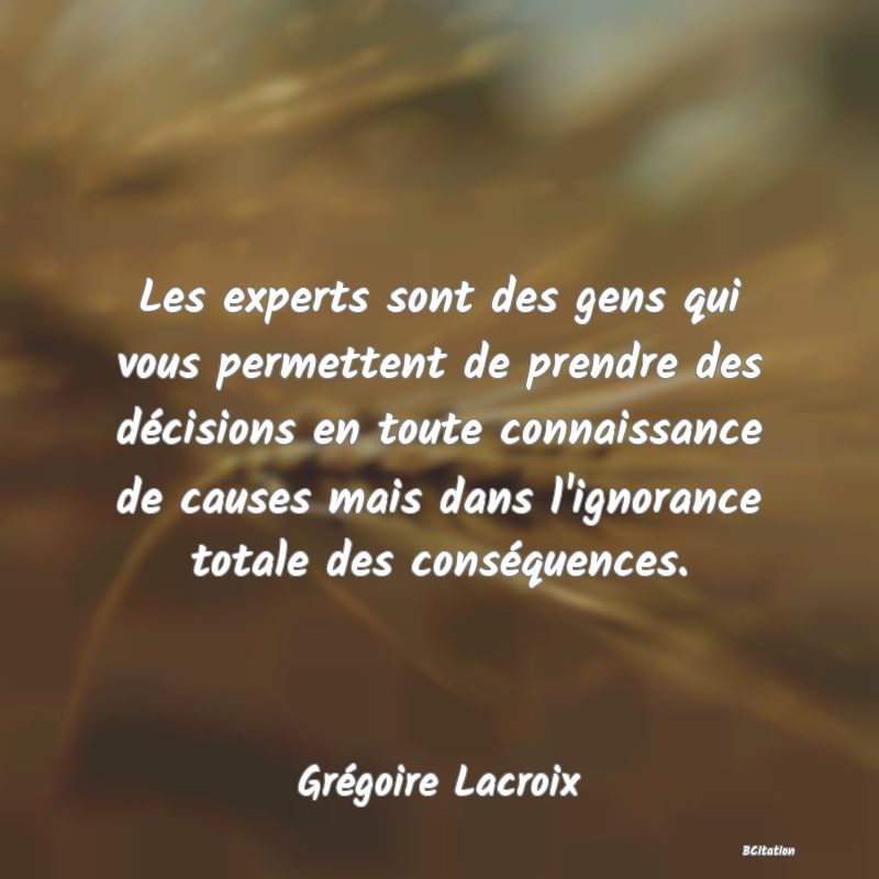 image de citation: Les experts sont des gens qui vous permettent de prendre des décisions en toute connaissance de causes mais dans l'ignorance totale des conséquences.