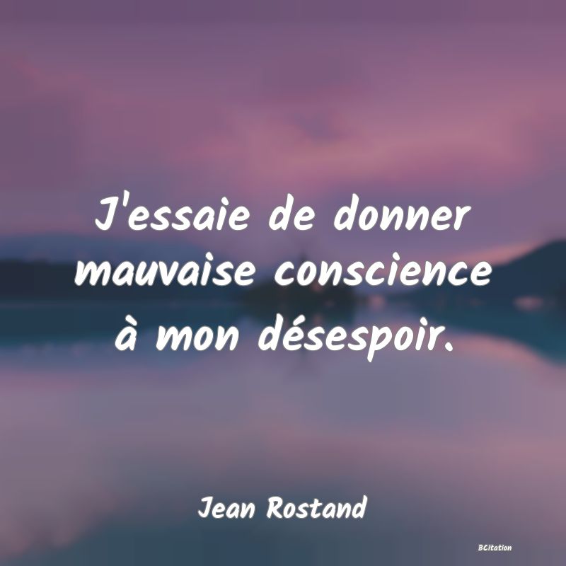 image de citation: J'essaie de donner mauvaise conscience à mon désespoir.