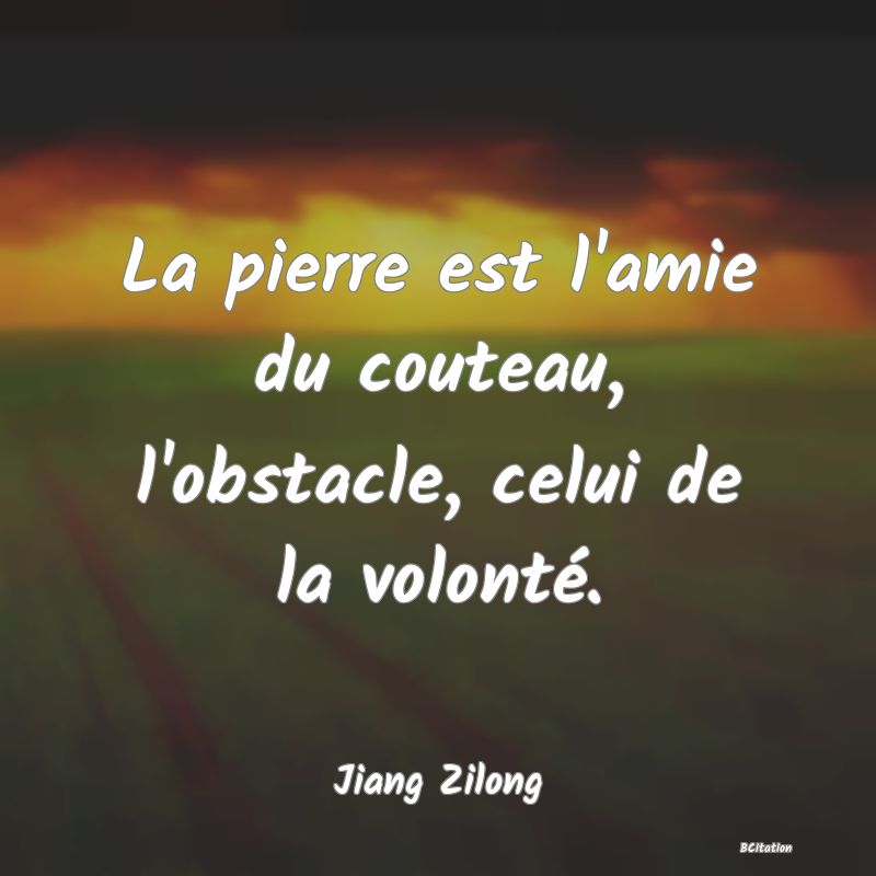 image de citation: La pierre est l'amie du couteau, l'obstacle, celui de la volonté.