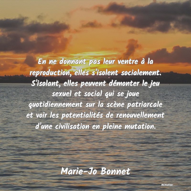 image de citation: En ne donnant pas leur ventre à la reproduction, elles s'isolent socialement. S'isolant, elles peuvent démonter le jeu sexuel et social qui se joue quotidiennement sur la scène patriarcale et voir les potentialités de renouvellement d'une civilisation en pleine mutation.