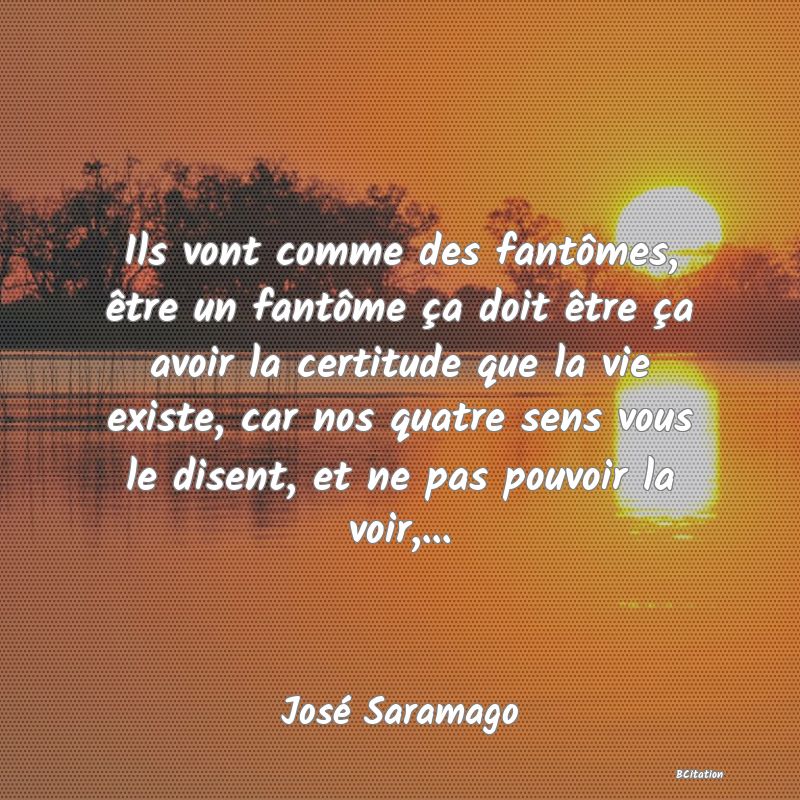 image de citation: Ils vont comme des fantômes, être un fantôme ça doit être ça avoir la certitude que la vie existe, car nos quatre sens vous le disent, et ne pas pouvoir la voir,...