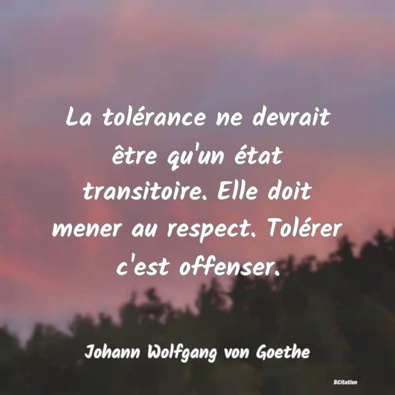 image de citation: La tolérance ne devrait être qu'un état transitoire. Elle doit mener au respect. Tolérer c'est offenser.