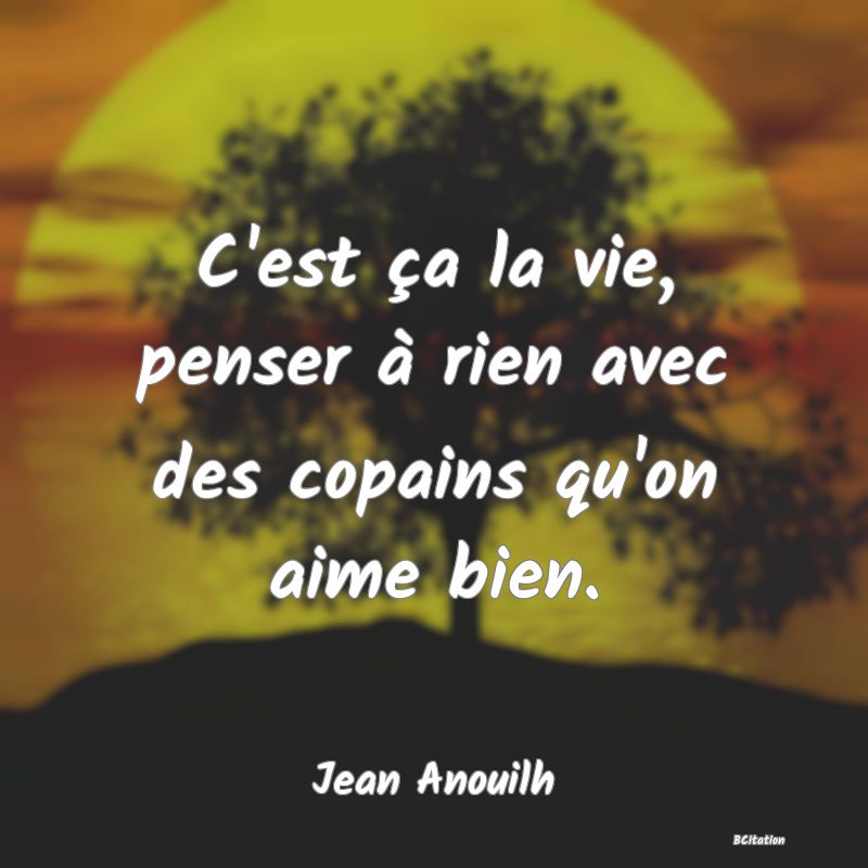 image de citation: C'est ça la vie, penser à rien avec des copains qu'on aime bien.