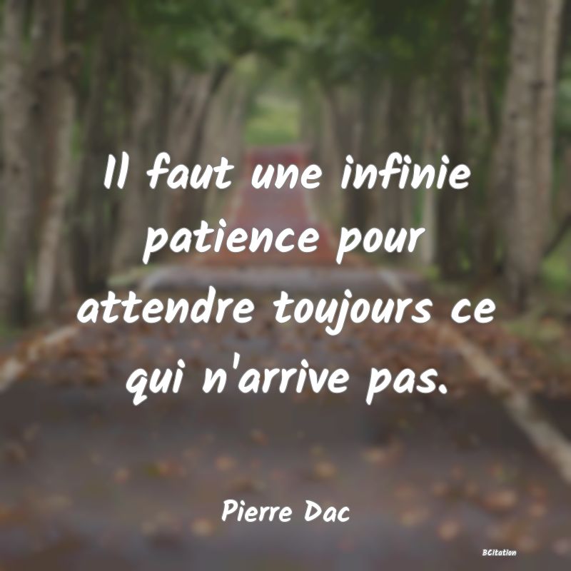 image de citation: Il faut une infinie patience pour attendre toujours ce qui n'arrive pas.