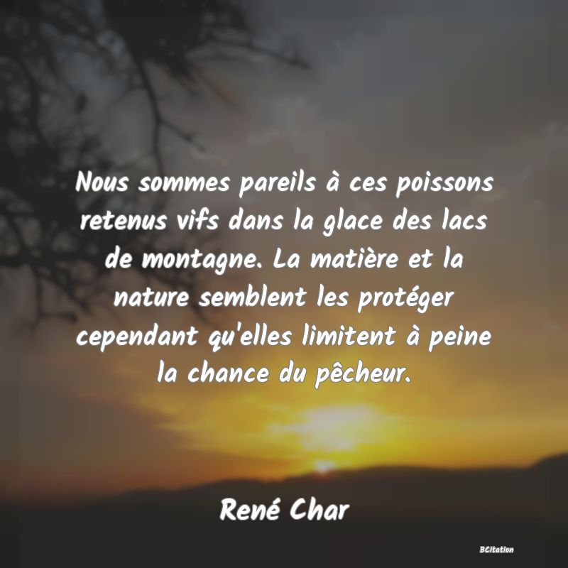 image de citation: Nous sommes pareils à ces poissons retenus vifs dans la glace des lacs de montagne. La matière et la nature semblent les protéger cependant qu'elles limitent à peine la chance du pêcheur.