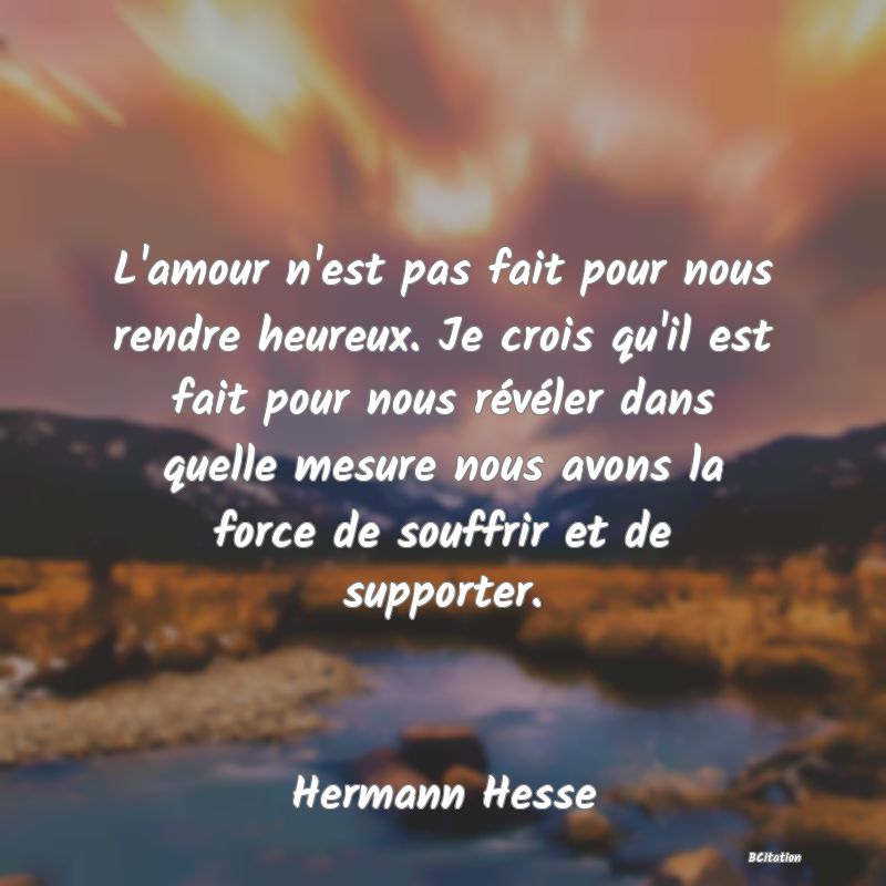 image de citation: L'amour n'est pas fait pour nous rendre heureux. Je crois qu'il est fait pour nous révéler dans quelle mesure nous avons la force de souffrir et de supporter.