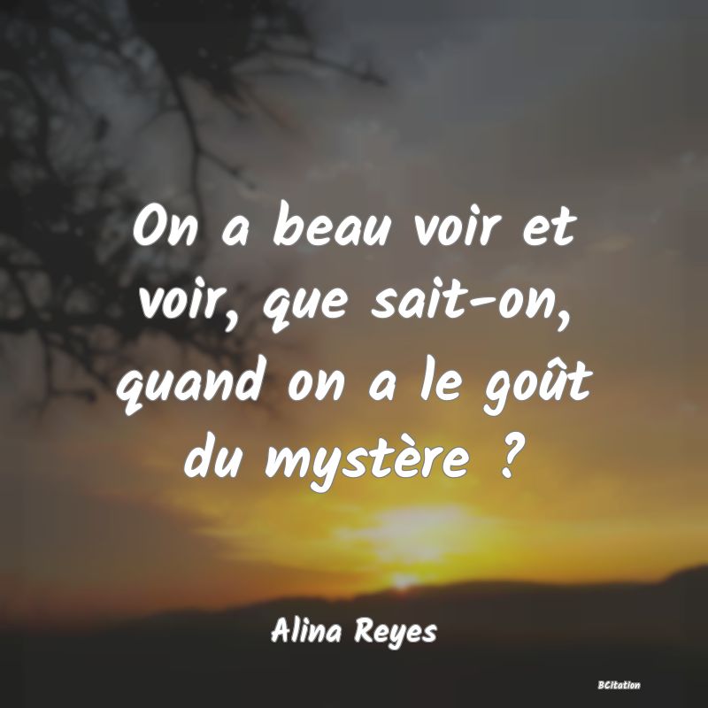 image de citation: On a beau voir et voir, que sait-on, quand on a le goût du mystère ?