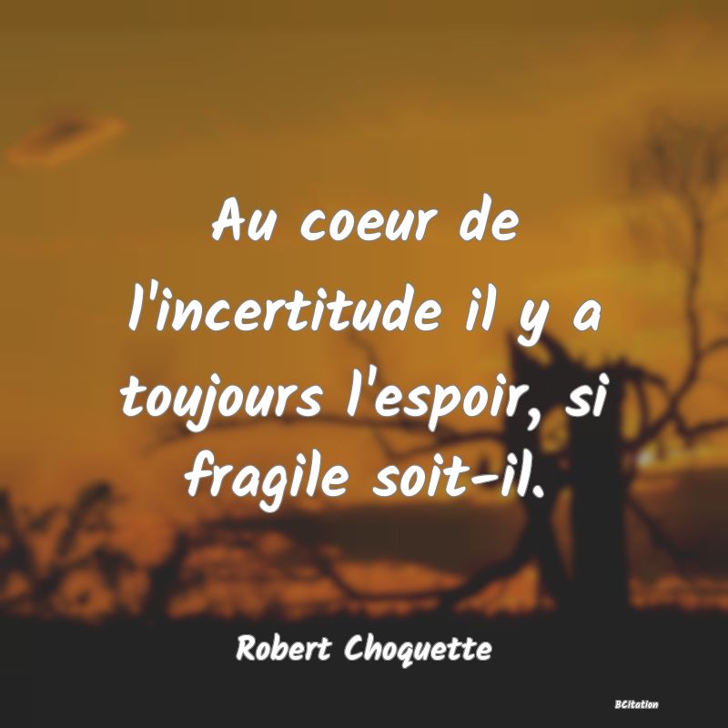 image de citation: Au coeur de l'incertitude il y a toujours l'espoir, si fragile soit-il.