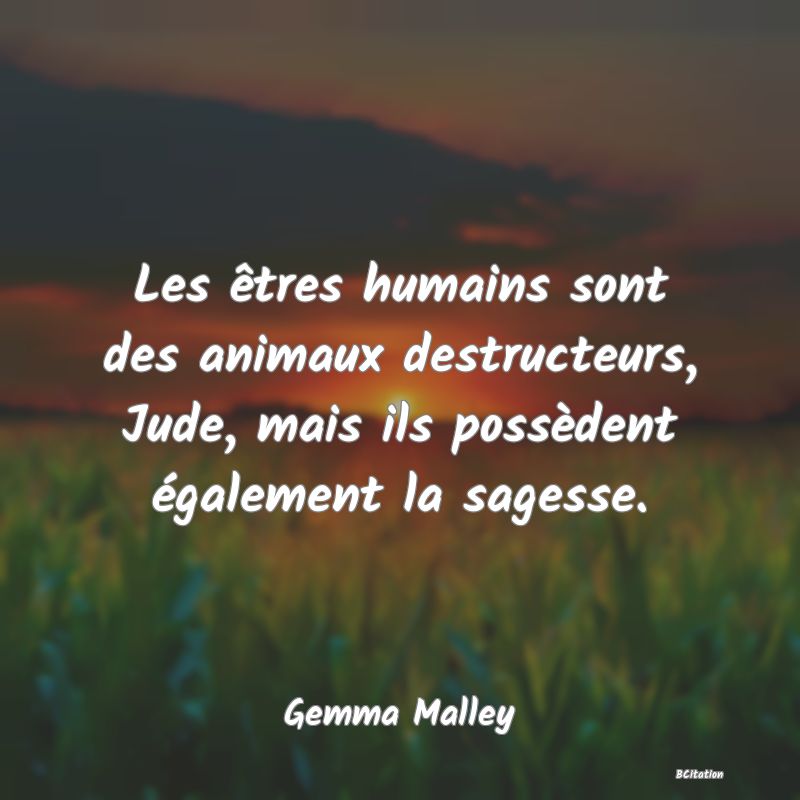 image de citation: Les êtres humains sont des animaux destructeurs, Jude, mais ils possèdent également la sagesse.