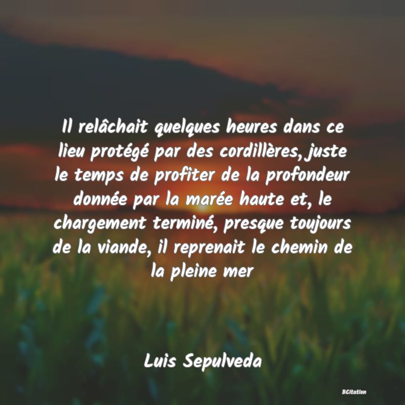 image de citation: Il relâchait quelques heures dans ce lieu protégé par des cordillères, juste le temps de profiter de la profondeur donnée par la marée haute et, le chargement terminé, presque toujours de la viande, il reprenait le chemin de la pleine mer