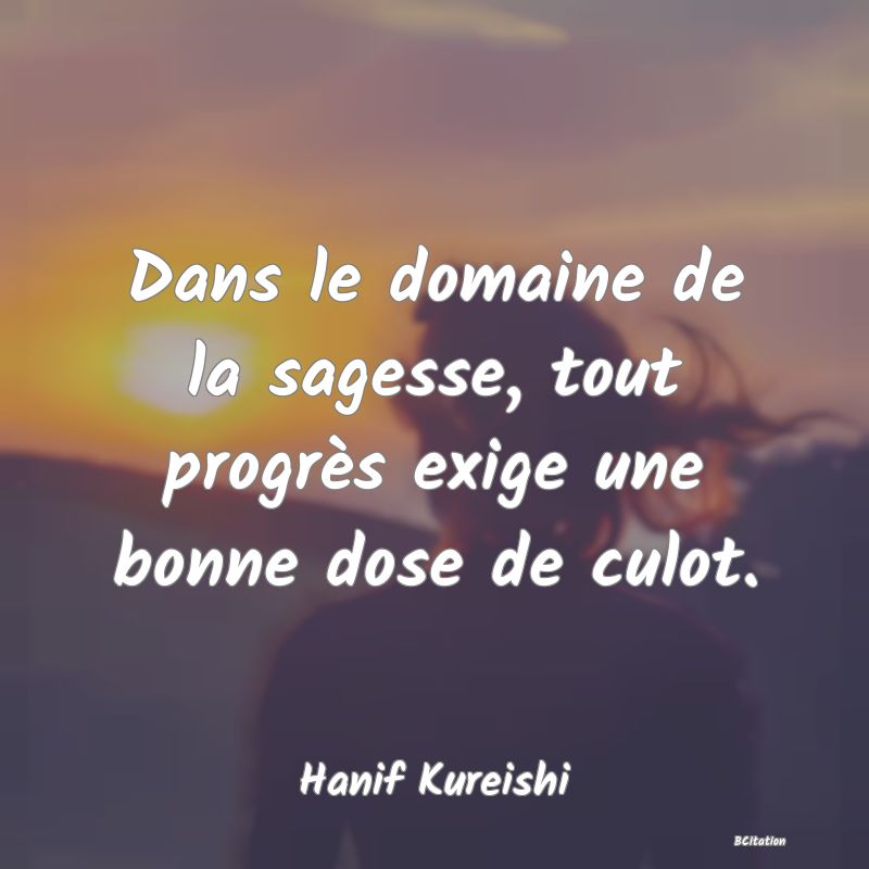 image de citation: Dans le domaine de la sagesse, tout progrès exige une bonne dose de culot.