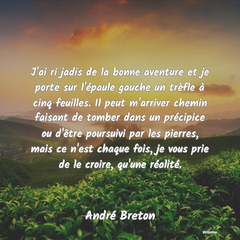 image de citation: J'ai ri jadis de la bonne aventure et je porte sur l'épaule gauche un trèfle à cinq feuilles. Il peut m'arriver chemin faisant de tomber dans un précipice ou d'être poursuivi par les pierres, mais ce n'est chaque fois, je vous prie de le croire, qu'une réalité.