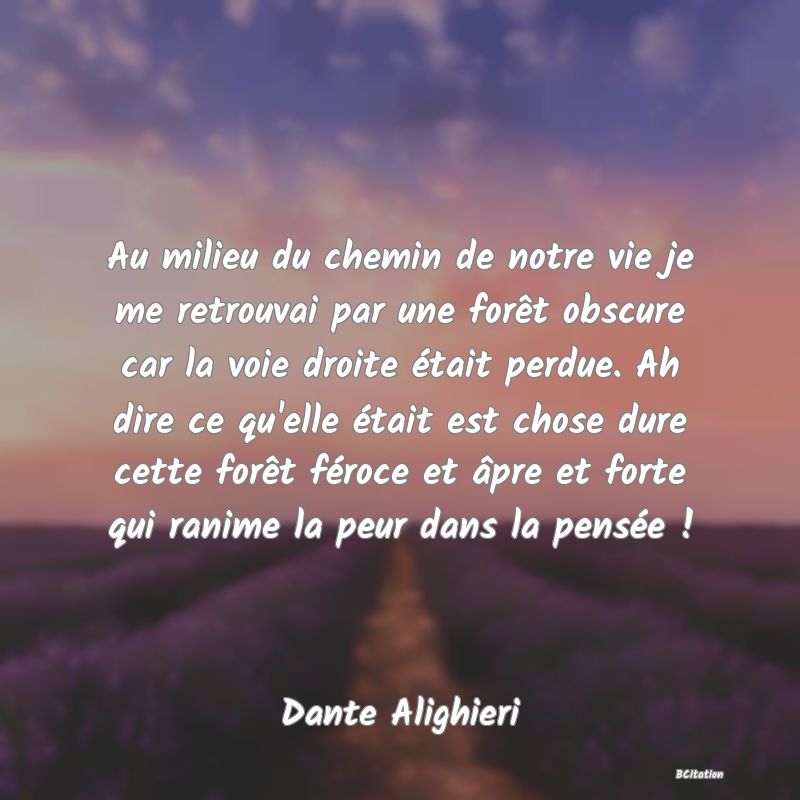 image de citation: Au milieu du chemin de notre vie je me retrouvai par une forêt obscure car la voie droite était perdue. Ah dire ce qu'elle était est chose dure cette forêt féroce et âpre et forte qui ranime la peur dans la pensée !