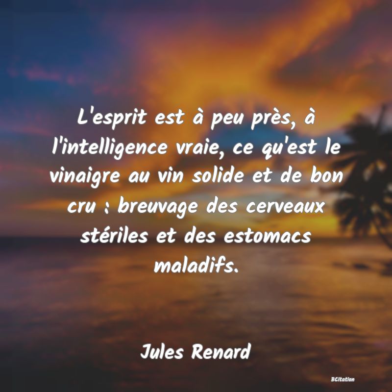 image de citation: L'esprit est à peu près, à l'intelligence vraie, ce qu'est le vinaigre au vin solide et de bon cru : breuvage des cerveaux stériles et des estomacs maladifs.