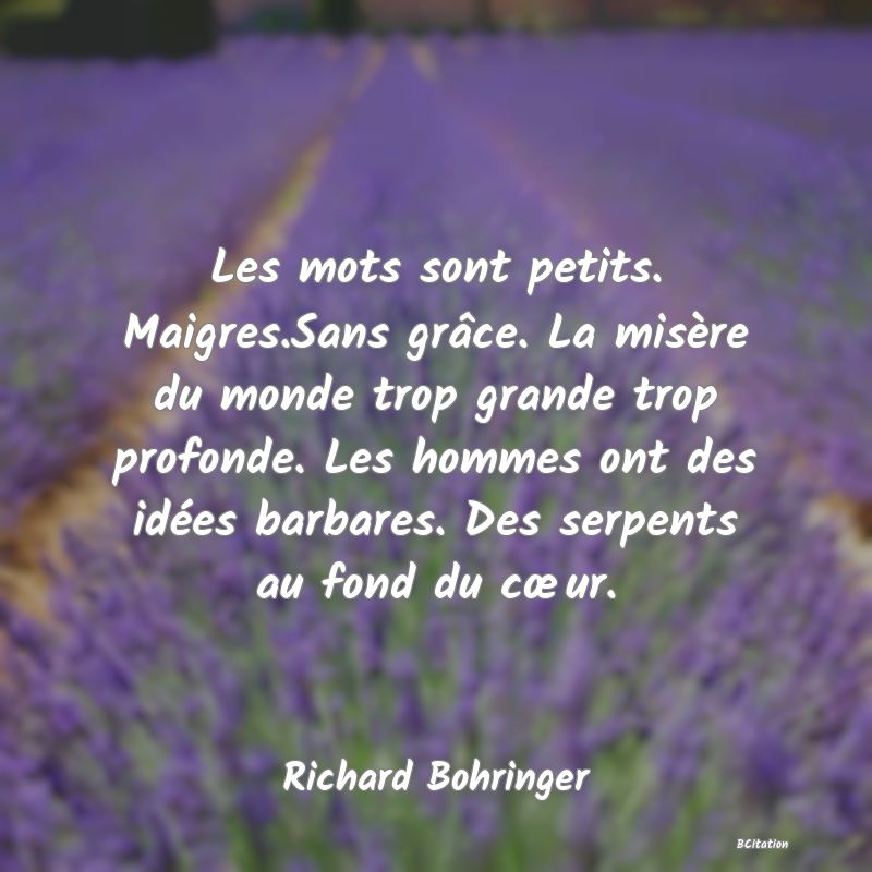 Belle Citation - Les mots sont petits. Maigres.Sans grâce. La misère du monde trop grande trop profonde. Les hommes ont des idées barbares. Des serpents au fond du cœur. - Richard Bohringer