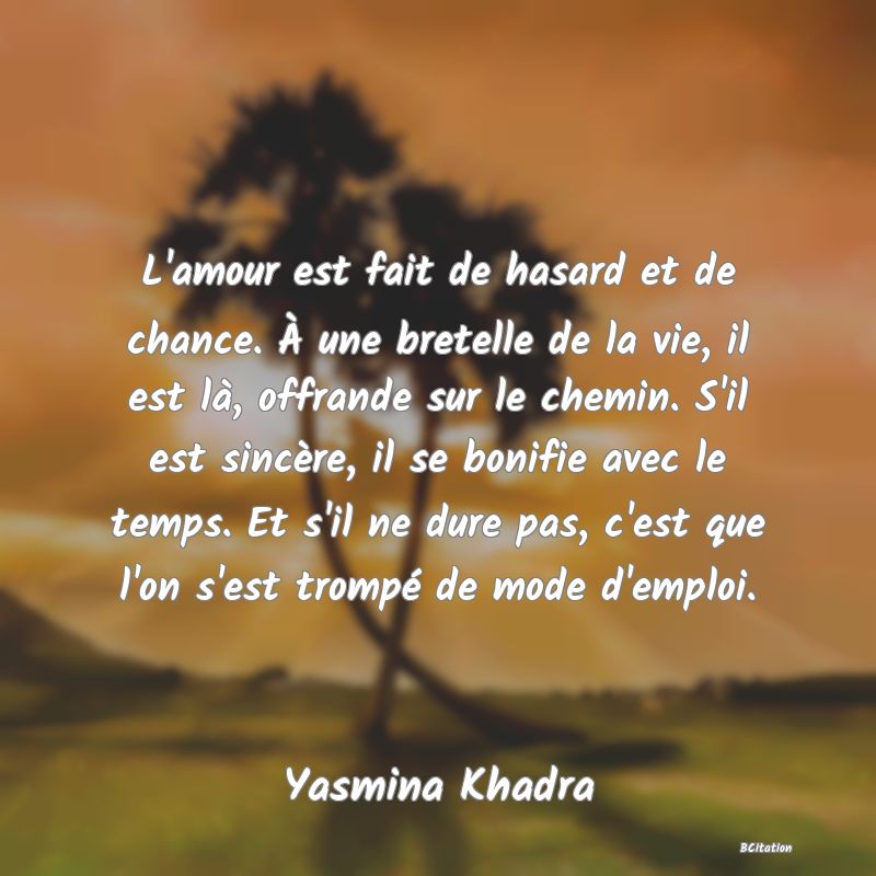 image de citation: L'amour est fait de hasard et de chance. À une bretelle de la vie, il est là, offrande sur le chemin. S'il est sincère, il se bonifie avec le temps. Et s'il ne dure pas, c'est que l'on s'est trompé de mode d'emploi.